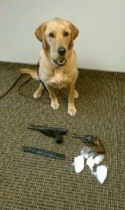 Roy Crawford and K9 Boss with Georgetown KY