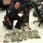 K9 Dutch - Gary PD marijuana find