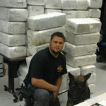 K9 Loki Gary PD 1100 lbs marijuana