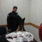 K9 Storm New Chicago 1 kilo heroin and guns