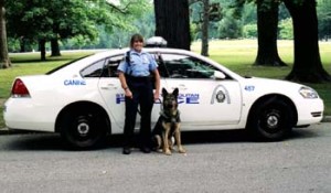 Kathy Wiedemann with K-9 Sully St. Louis Metropolitan Police Department Trained by St. Louis PD